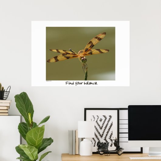 Dragonfly Poster afdrukken (Thuiskantoor)