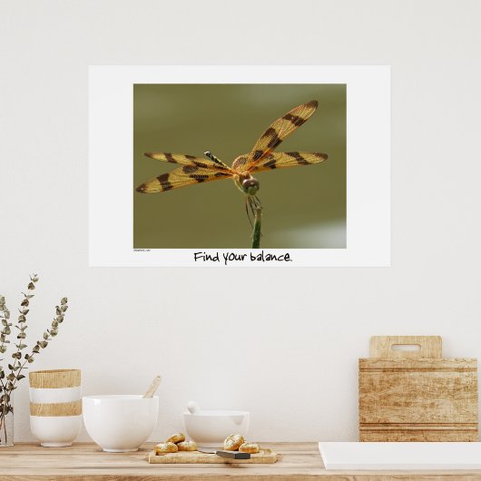 Dragonfly Poster afdrukken (Keuken)