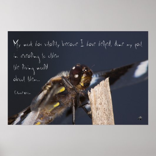 Dragonfly-Poster inspireren Poster (Voorkant)