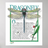 Dragonfly-Poster Poster (Voorkant)