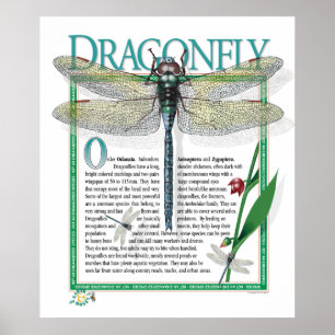 Dragonfly-Poster Poster