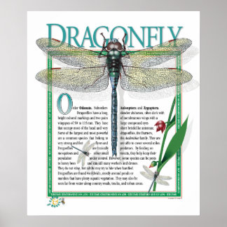 Dragonfly-Poster Poster