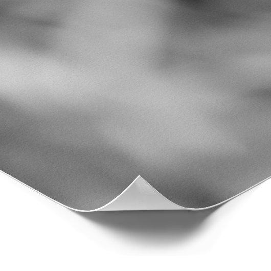 Dragonfly-Poster Poster (Hoek)