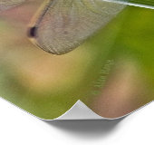 Dragonfly-Poster Poster (Hoek)