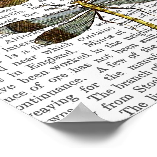 Dragonfly Print 4 (Hoek)