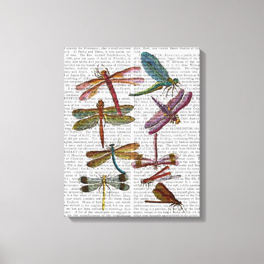 Dragonfly Print 4 (Voorkant)