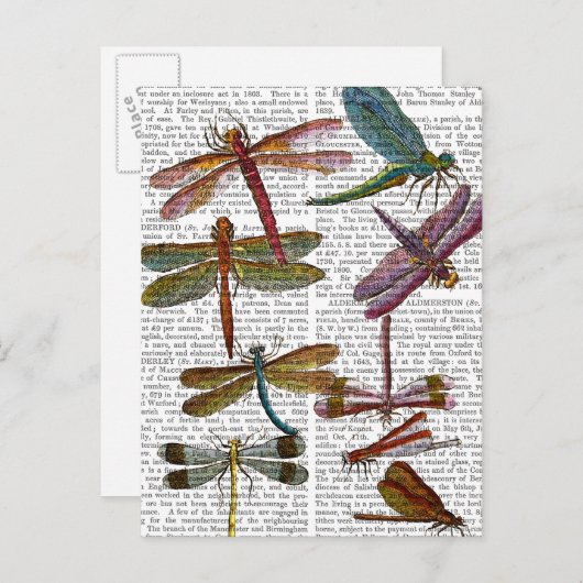 Dragonfly Print 4 Briefkaart (Voorkant / Achterkant)