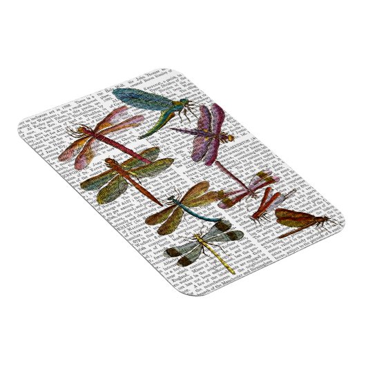 Dragonfly Print 4 Magneet (Rechterzijde)