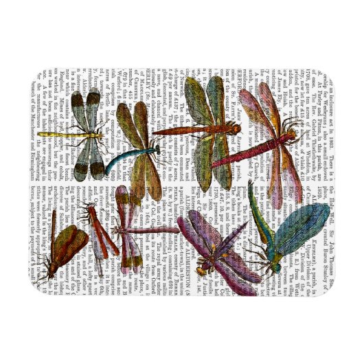Dragonfly Print 4 Magneet (Horizontaal)
