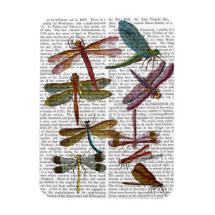 Dragonfly Print 4 Magneet