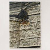 Dragonfly Puzzle Legpuzzel (Verticaal)