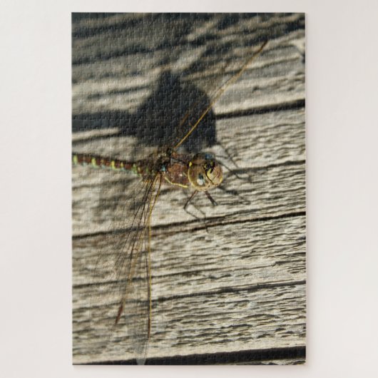 Dragonfly Puzzle Legpuzzel (Verticaal)