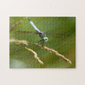 Dragonfly Puzzle Legpuzzel (Horizontaal)