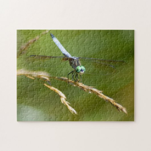 Dragonfly Puzzle Legpuzzel (Horizontaal)