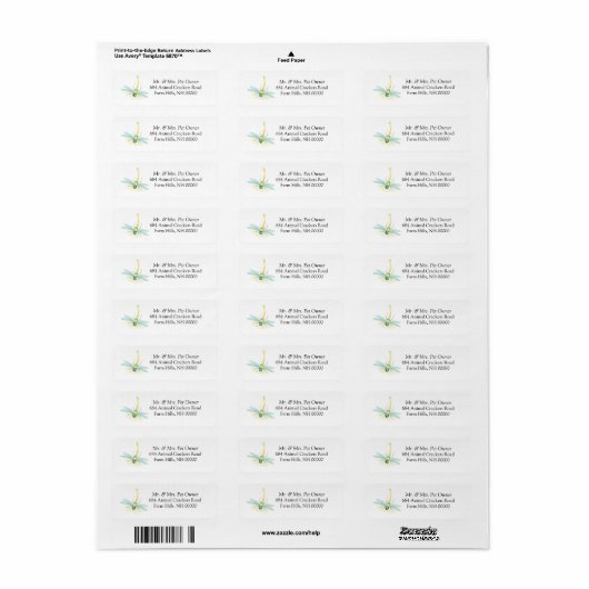 Dragonfly Return Address Labels stickers (Full Sheet)