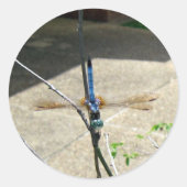 Dragonfly Ronde Sticker (Voorkant)