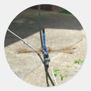 Dragonfly Ronde Sticker