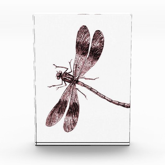  dragonfly - rood fotoblokken (Voorkant)