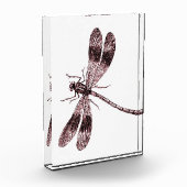  dragonfly - rood fotoblokken (Links)