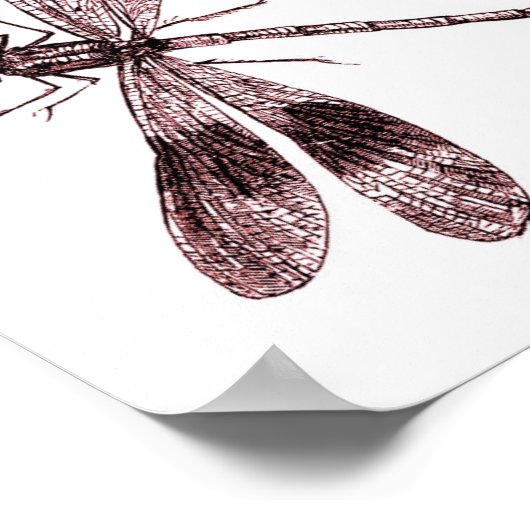 dragonfly - rood poster (Hoek)