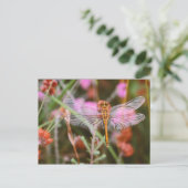 Dragonfly roze op Flowers Briefkaart (Staand voorkant)
