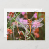 Dragonfly roze op Flowers Briefkaart (Voorkant / Achterkant)