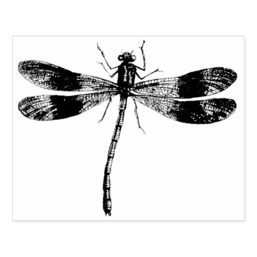 dragonfly Rubber Art Stamp Rubberstempel (Afrduk)