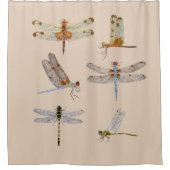 Dragonfly Shower Curtain Douchegordijn (Voorkant)