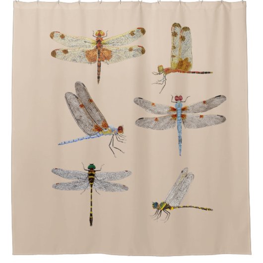 Dragonfly Shower Curtain Douchegordijn (Voorkant)