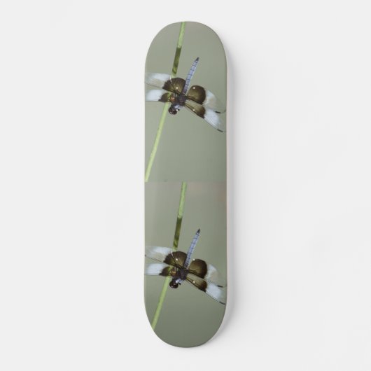 Dragonfly Skateboard (Voorkant)