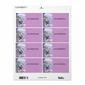 Dragonfly Sky labels (Full Sheet)