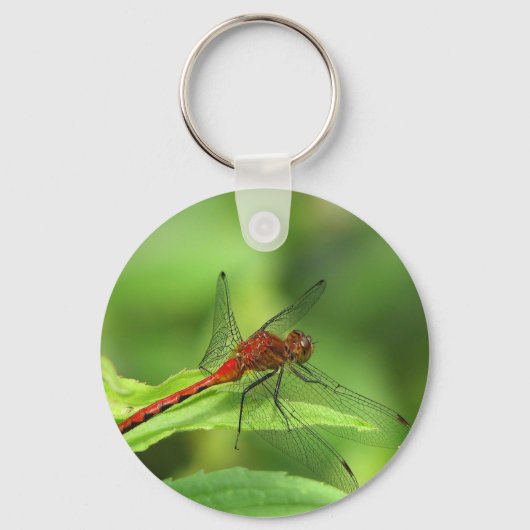 Dragonfly-Sleutelhanger Sleutelhanger (Voorkant)