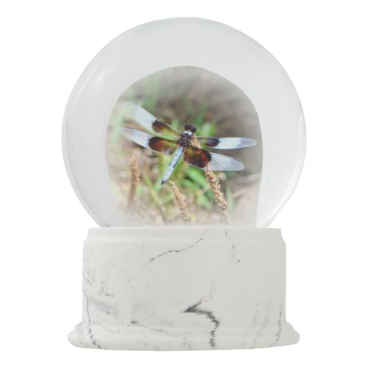 DRAGONFLY SNEEUWBOL (Achterkant)