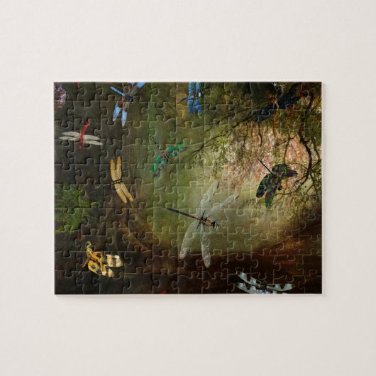 Dragonfly-speelplaats Legpuzzel (Horizontaal)