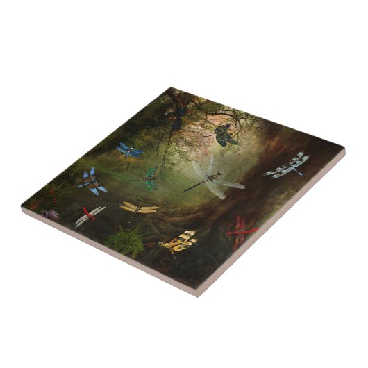 Dragonfly-speelplaats Tegeltje (Zijkant)