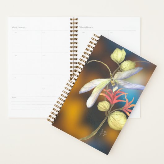 Dragonfly Spiral Planner (Display)