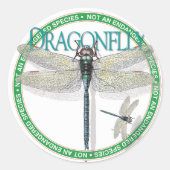 Dragonfly Sticker (Voorkant)
