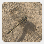 Dragonfly Sticker (Voorkant)