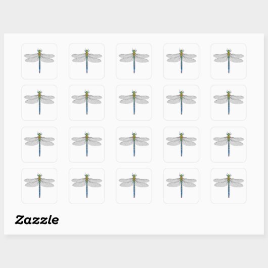 Dragonfly Stickers Labels Afdichtingen (Vel)