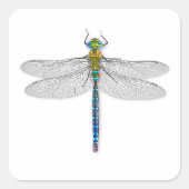 Dragonfly Stickers Labels Afdichtingen (Voorkant)