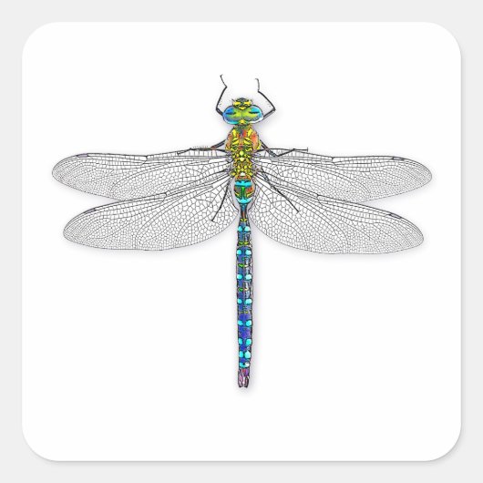 Dragonfly Stickers Labels Afdichtingen (Voorkant)