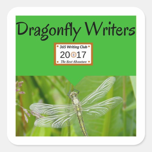Dragonfly stickers! vierkante sticker (Voorkant)