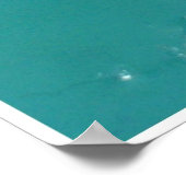 Dragonfly Stilleven 2 Poster (Hoek)