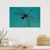 Dragonfly Stilleven 2 Poster (Keuken)