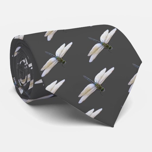 Dragonfly Stropdas (Opgerold)
