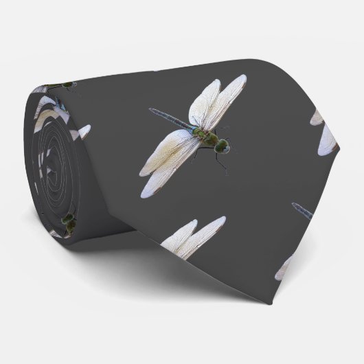 Dragonfly Stropdas (Opgerold)