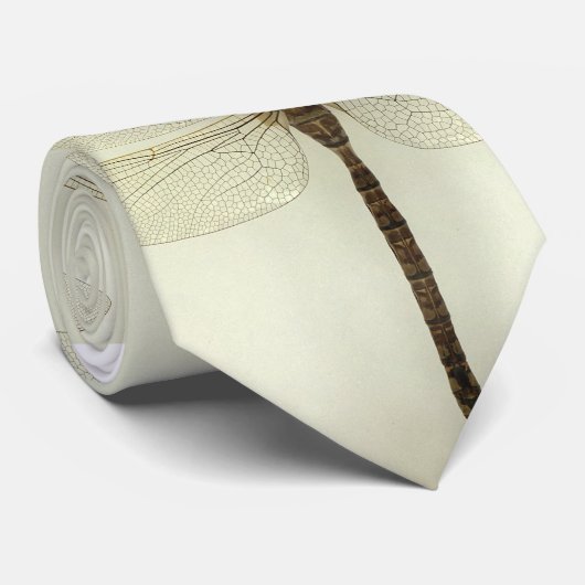 Dragonfly-stropdas Stropdas (Opgerold)