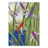 Dragonfly Summer (Voorkant)