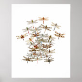 Dragonfly Swarm Poster (Voorkant)