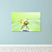 Dragonfly (Sympetrum infuscatum) 2 Canvas Afdruk (Insitu (Houten vloer))